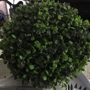 Meet your Posher, Aracely